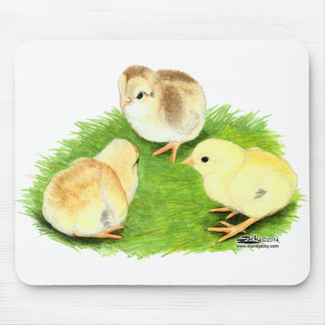 Aseel Wheaten Chicks Mouse Pad (Front)