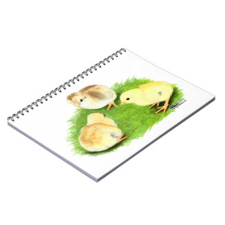 Aseel Wheaten Chicks Notebook