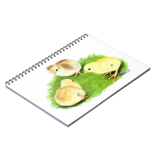 Aseel Wheaten Chicks Notebook (Left Side)