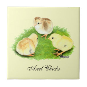Aseel Wheaten Chicks Tile