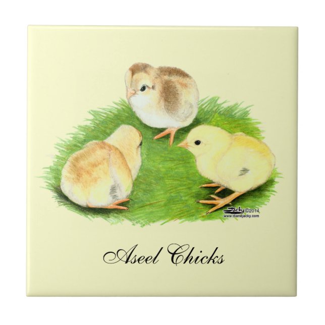 Aseel Wheaten Chicks Tile (Front)