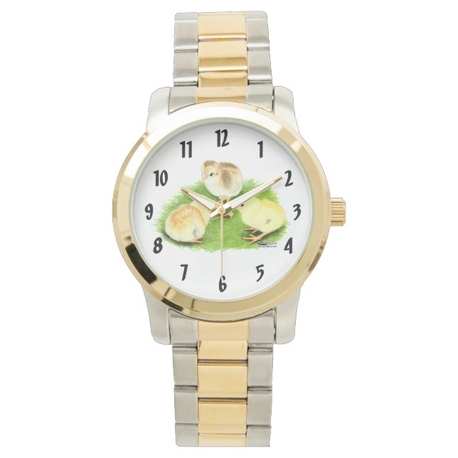 Aseel Wheaten Chicks Watch (Front)