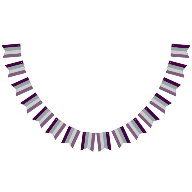 Asexual Flag Bunting Banner LGBT Party (All)