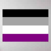 ASEXUAL FLAG ORIGINAL -.png