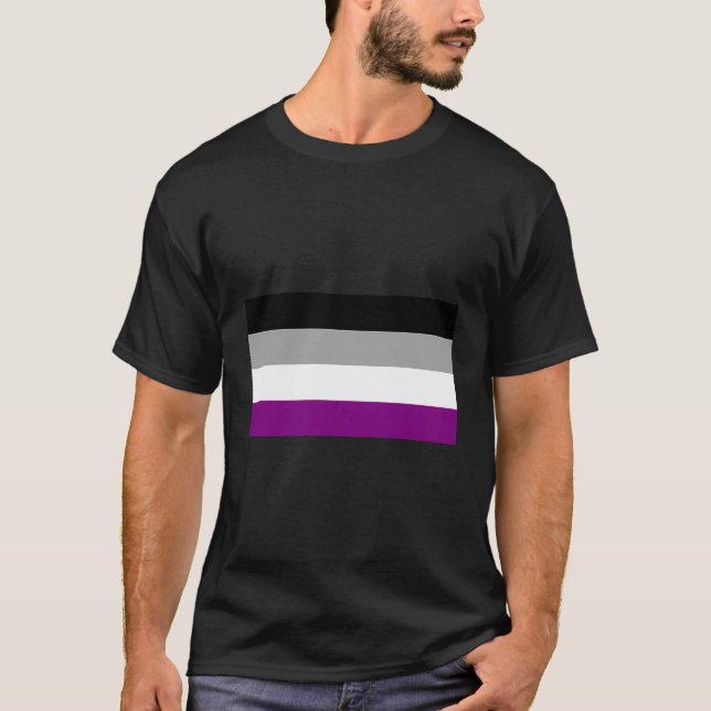 Asexual Pride Flag Hoodie T-Shirt (Front)
