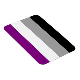 Asexual Pride Flag Magnet