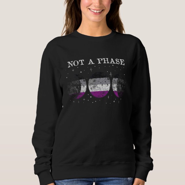Asexual Pride Flag Not A Phase Sweatshirt (Front)