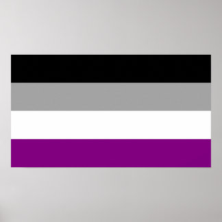 Asexual Pride Flag Poster