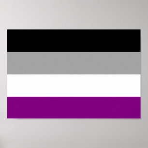 Asexual Pride Flag Poster