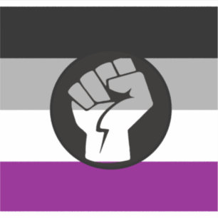 Asexual Protest Flag