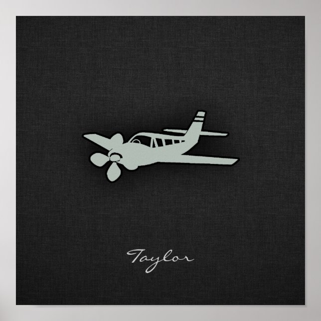 Ash Grey Plane Poster (Front)