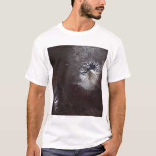 Ash stains on Russia's Shiveluch volcanoï¿ T-Shirt