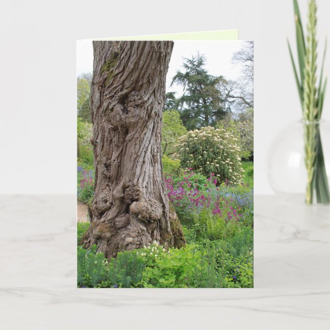 Ash Tree textured bark patterns Hidcote Garden  Card (Front)