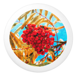 Ashberry artistic ceramic knob