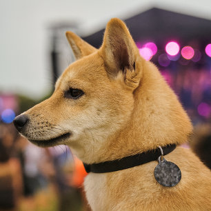 Ashcloud Signal Pet Tag