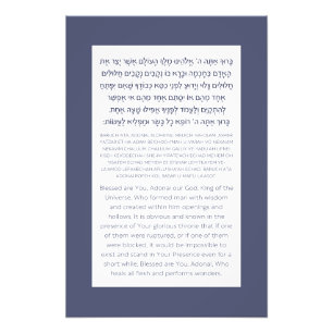 Asher Yatzar Hebrew Blessing Dusty Blue  Photo Print