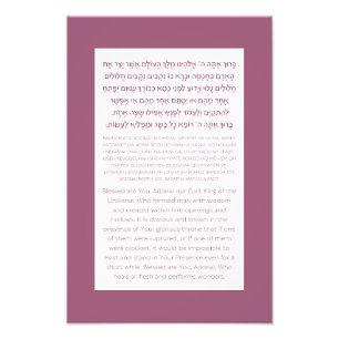 Asher Yatzar Hebrew Blessing Dusty Pink  Photo Print