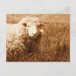 Ashley in Sepia Postcard
