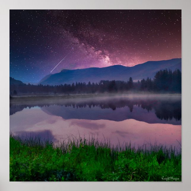 Ashley National Forest Poster (Front)