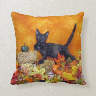 Ashlynn's Autumn Pillow  ( Cat / Kitten)