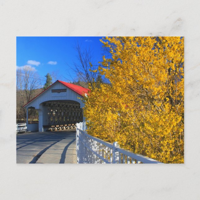 Ashuelot Covered Bridge Forsythia Postcard (Front)