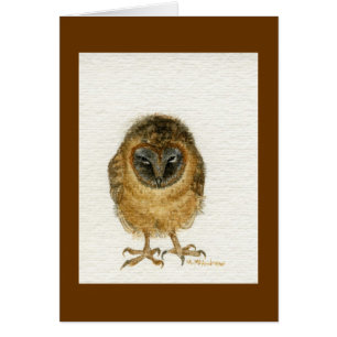 "Ashy Faced Barn Owl"