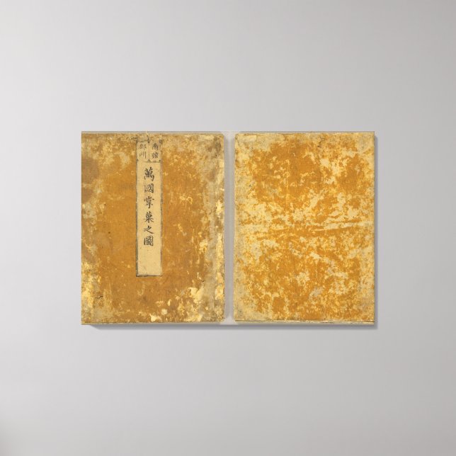 Asia 46 canvas print (Front)