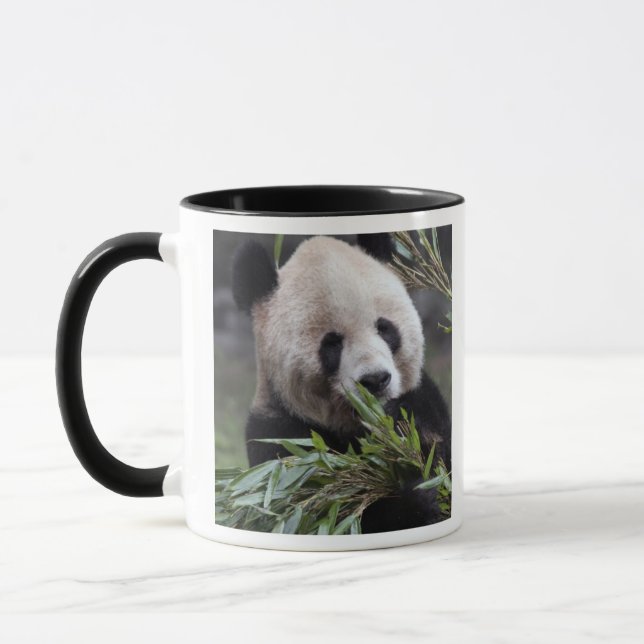 Asia, China Chongqing. Giant Panda Mug (Left)