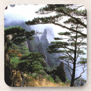 Asia, China, Huanshan. The yellow mountain Coaster