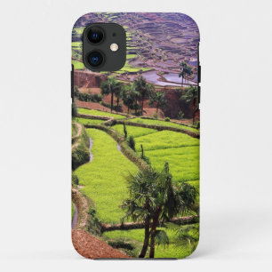 Asia, China, Yunnan, Honghe. Rice terraces near 2 iPhone 11 Case