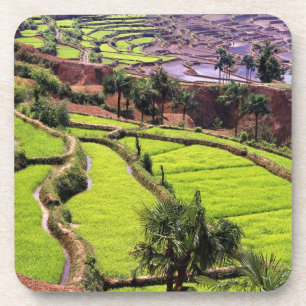 Asia, China, Yunnan, Honghe.  Rice terraces near 2 Coaster