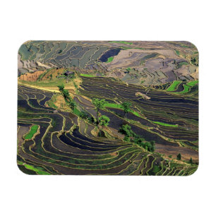 Asia, China, Yunnan, Honghe. Rice Terraces near Magnet