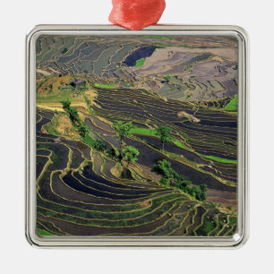 Asia, China, Yunnan, Honghe. Rice Terraces near Metal Tree Decoration