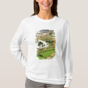 Asia, China, Yunnan, Honghe. Rice terraces near T-Shirt