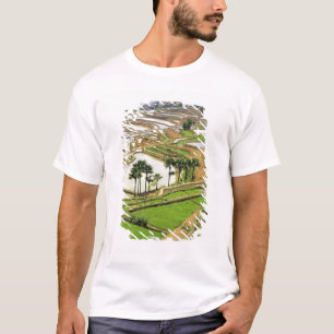 Asia, China, Yunnan, Honghe.  Rice terraces near T-Shirt