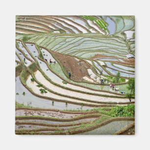 Asia, China, Yunnan, Jinping. Native Yi people Magnet