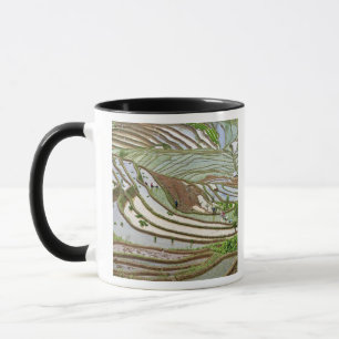 Asia, China, Yunnan, Jinping. Native Yi people Mug