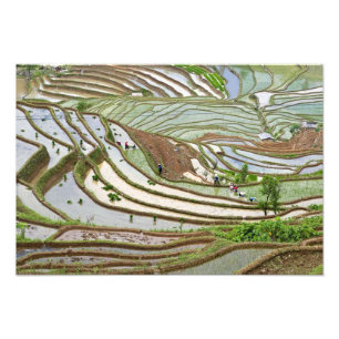 Asia, China, Yunnan, Jinping. Native Yi people Photo Print