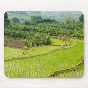 Asia, China, Yunnan Province, Honghe. Banana Mouse Pad