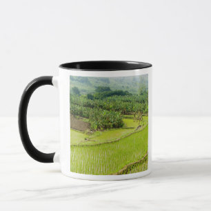 Asia, China, Yunnan Province, Honghe. Banana Mug