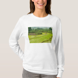 Asia, China, Yunnan Province, Honghe. Banana T-Shirt