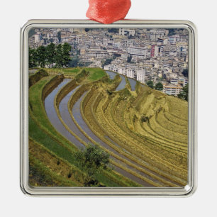 Asia, China, Yunnan Province, Jinping. Jinping Metal Tree Decoration