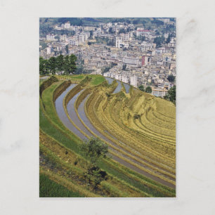 Asia, China, Yunnan Province, Jinping. Jinping Postcard