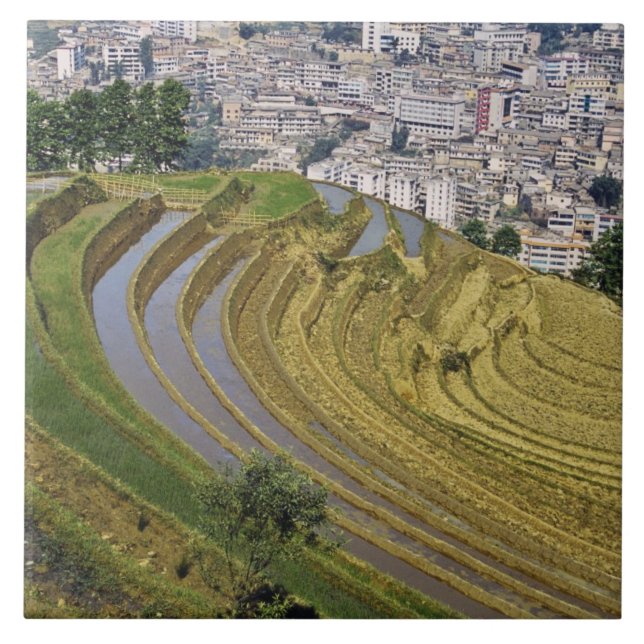 Asia, China, Yunnan Province, Jinping. Jinping Tile (Front)