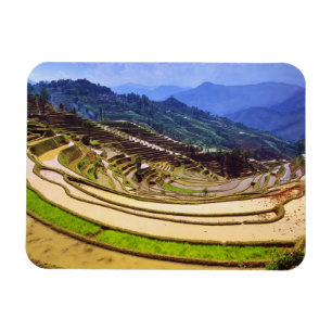 Asia, China, Yunnan Province, Yuanyang County. Magnet