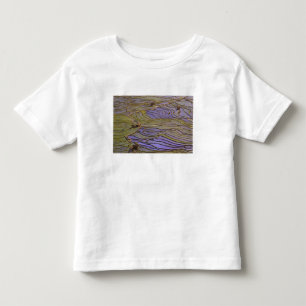 Asia, China, Yunnan Province, Yuanyang. Flooded Toddler T-Shirt