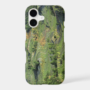 Asia, China, Yunnan, Yuanyang. Pattern of green 2