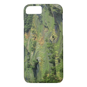 Asia, China, Yunnan, Yuanyang. Pattern of green 2 Case-Mate iPhone Case