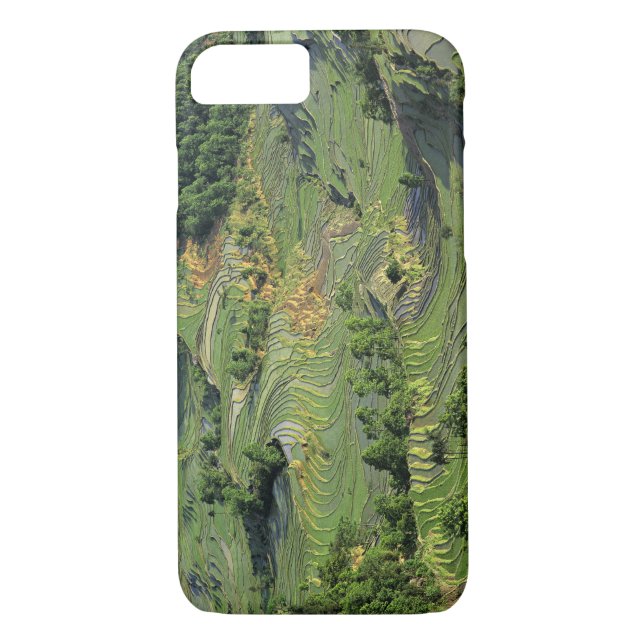 Asia, China, Yunnan, Yuanyang. Pattern of green 2 Case-Mate iPhone Case (Back)