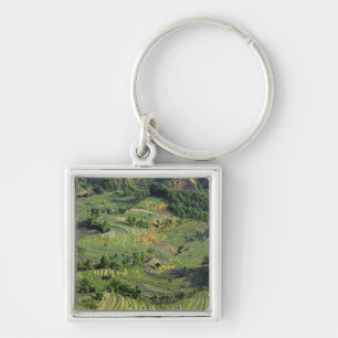 Asia, China, Yunnan, Yuanyang. Pattern of green 2 Key Ring